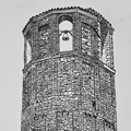 amelia torre civica